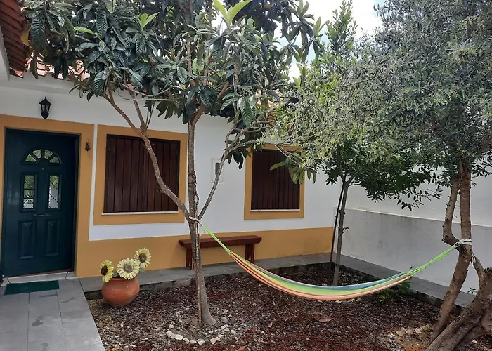 Casa Ze Actor