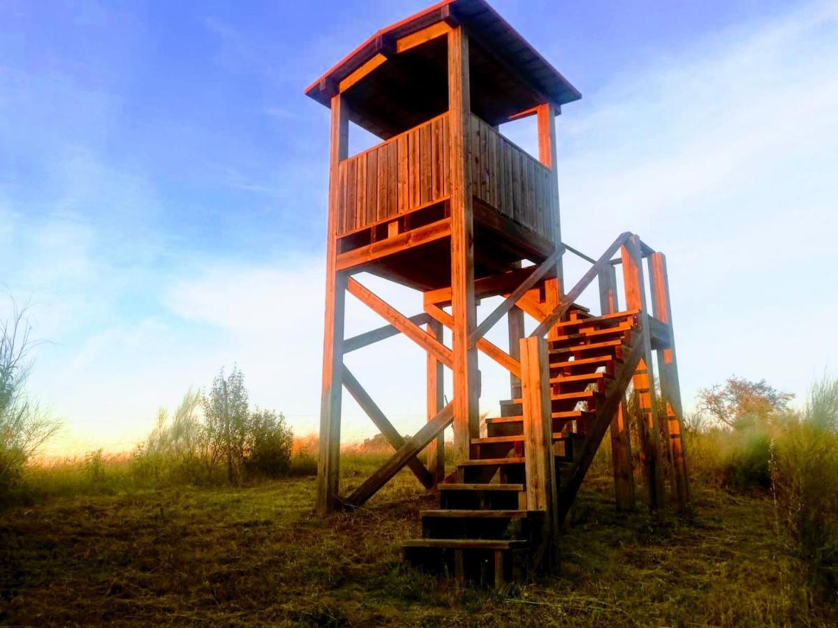 Holiday home Casa Ze Actor *